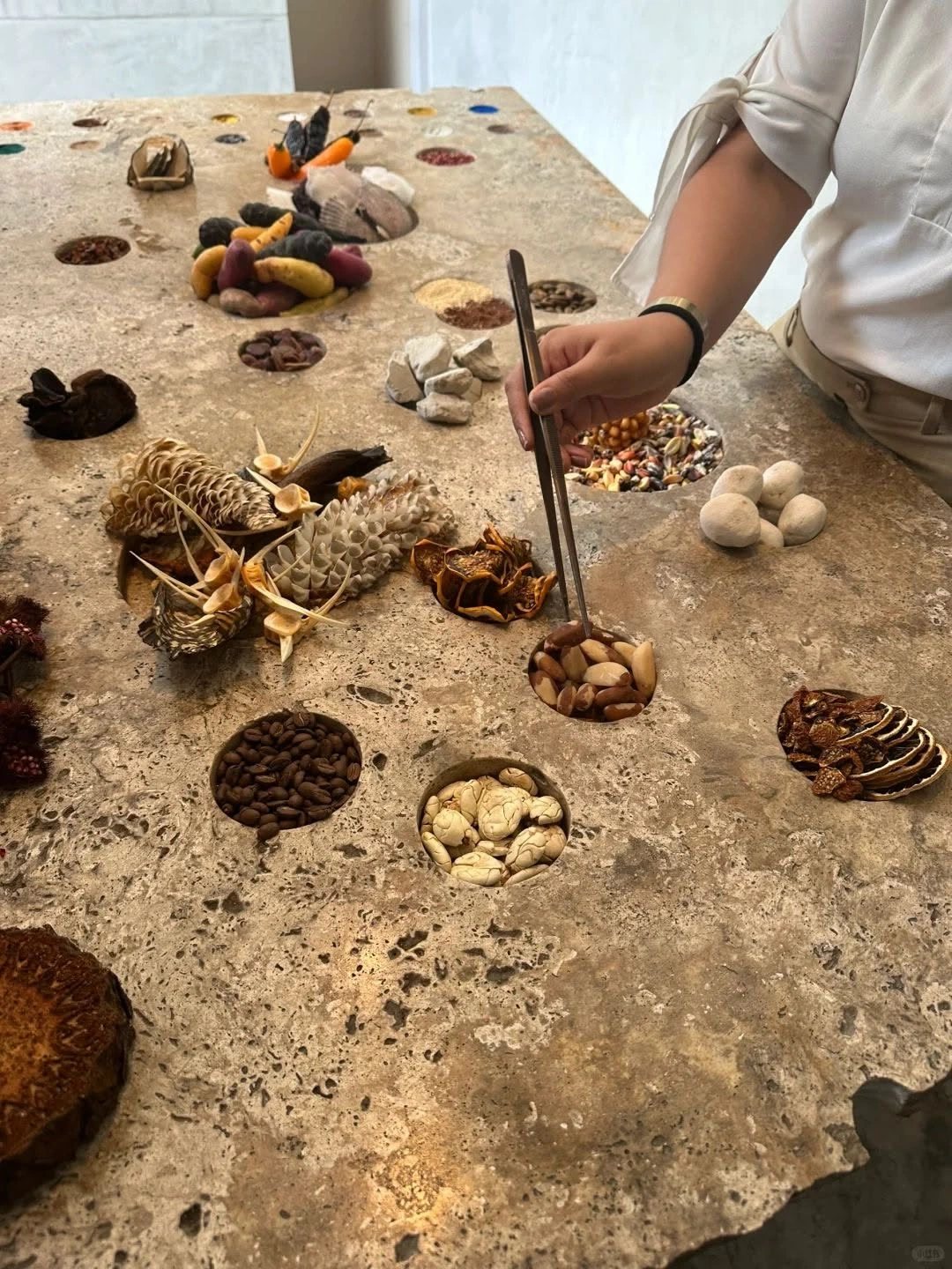 A hand lifting a nut with tweezers from a stone table set with seeds, roots, shells and dried fruit